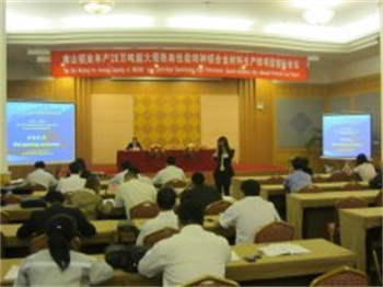 南山鋁業(yè)年產(chǎn)20萬(wàn)噸超大規(guī)格高性